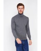 Pull col roulé loup