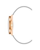 Montre Femme en Acier argentée