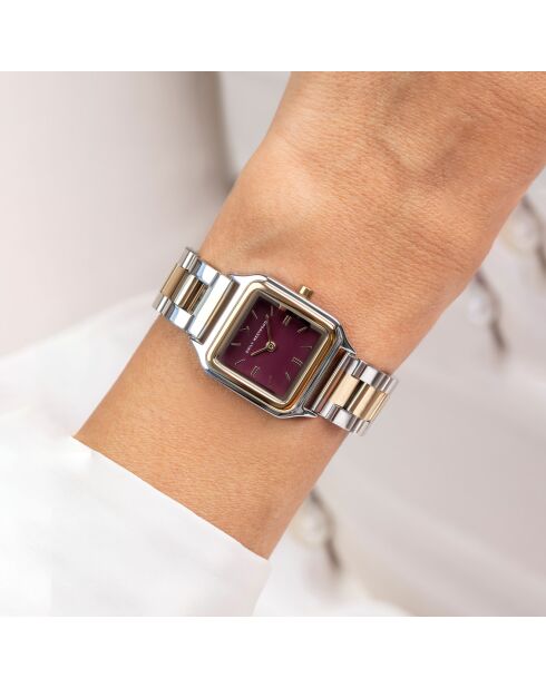 Montre en Acier argenté/doré