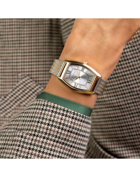 Montre en Acier mesh argenté/doré