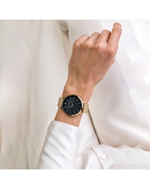 Reloj de acero con malla dorada