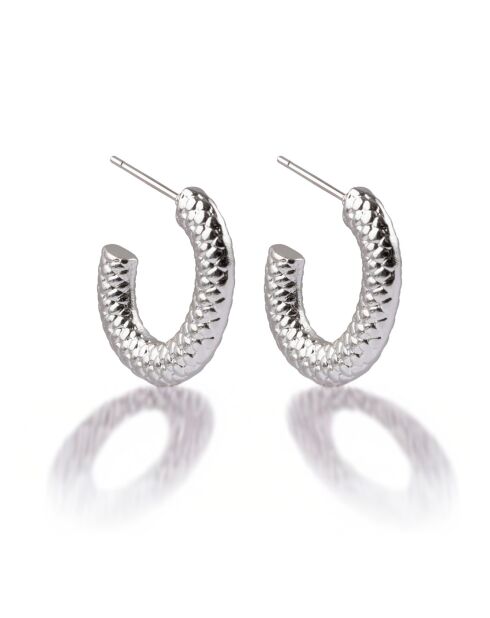 Orecchini in acciaio argentato