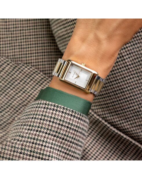 Montre en Acier argenté/doré
