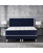 Testiera imbottita blu senza tempo