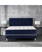 Testiera imbottita blu senza tempo