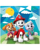 Puzzle 3x48 pièces - Pat' Patrouille