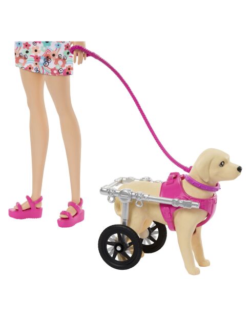 Barbie chien marcheur avec chaise roulante