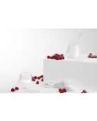 6 Colorea cocktailshakers van borosilicaatglas