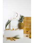 6 Colorea cocktailshakers van borosilicaatglas