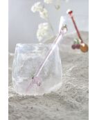 6 Agitateurs Fruit Colorea Multicolores