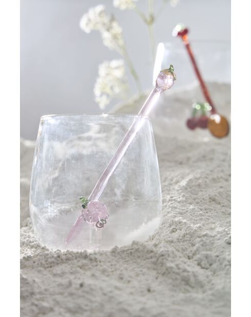 6 Agitateurs Fruit Colorea Multicolores