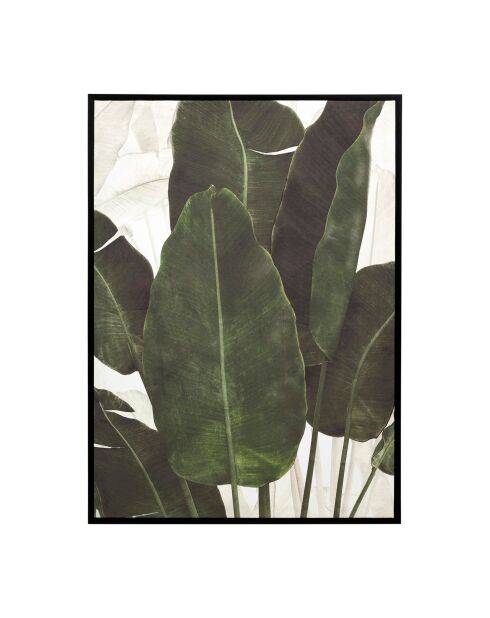 Gallery Leaf Deco Frame Kaki/Zwart - 52X72Cm