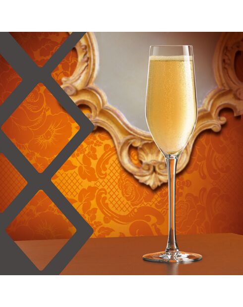 6 Flûtes Sens   Kwarx - 16cl