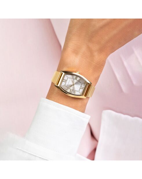 Montre en Acier dorée