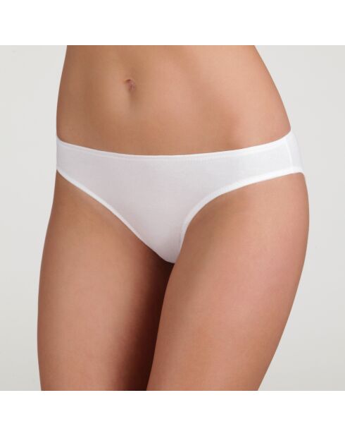 Culotte Daily Coton blanche
