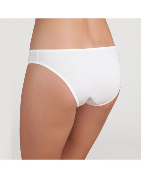 Culotte Daily Coton blanche