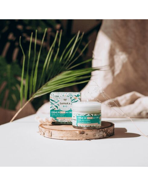 Creme De Jour Repulpante - Cbd & Chanvre - Certifiée Bio Cosmos** (50Ml)  (1)