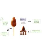 Etui 10 sucettes caramel Pierrot Gourmand (bâtonnet bois)