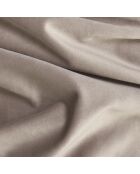 EMY 2-zitsbank Taupe Velours - 185x88x77