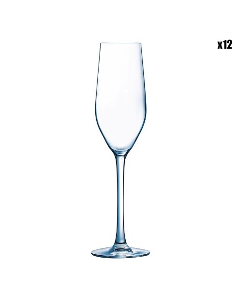 12 durchsichtige Sense-Flöten - 16 cl