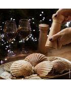 Duo de moulins poivre & sel Fanny bois naturel