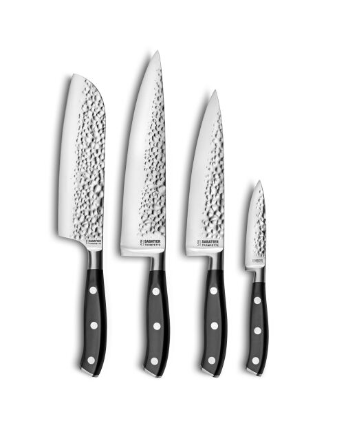 4 Couteaux de cuisine Carbon