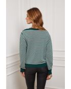 Jersey Astrobal Verde/Crudo