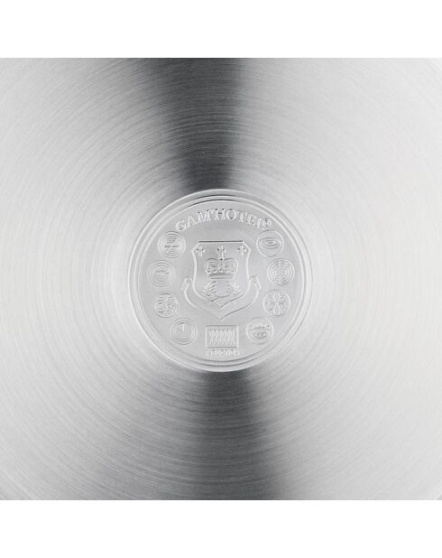 Poêle induction argentée - D.20 cm