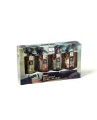 Coffret Découverte Rhum Arrangé - 4 pièces