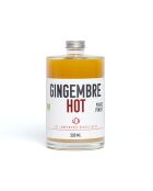 Concentre Bio Gingembre Hot (Poivre-Piment) - 500 ml