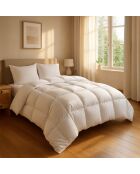 Couette Chaude blanche