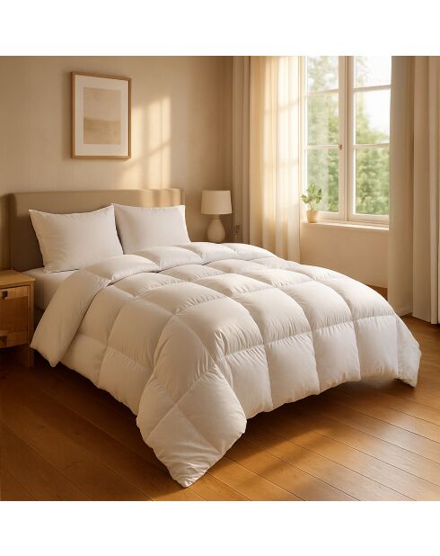 Couette Chaude blanche
