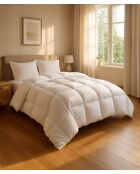 Couette Chaude blanche