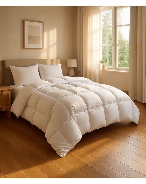 Couette Chaude blanche