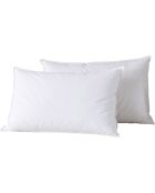 2 Oreillers en Plumes blancs