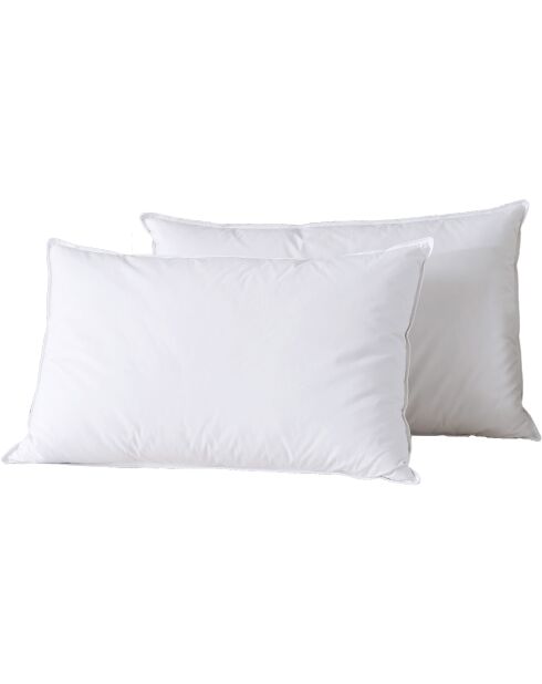 2 Oreillers en Plumes blancs