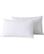 2 Oreillers en Plumes blancs