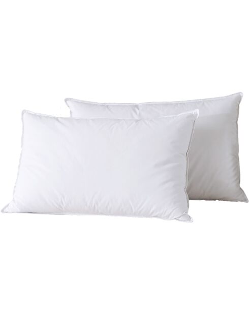2 Oreillers en Plumes blancs