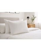 2 Oreillers en Plumes blancs