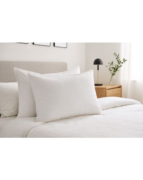 2 Oreillers en Plumes blancs