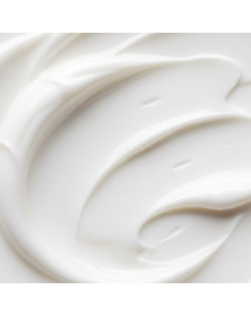 Aufpolsternde Tagescreme mit Hyaluronsäure Spf 25 50 ml