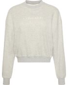 Sweat-shirt à capuche po gris chiné