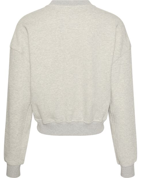 Sweat-shirt à capuche po gris chiné