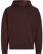 Sweat à capuche manches longues marron