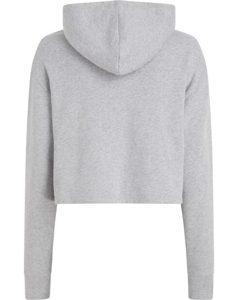 Sweat à capuche zippé gris chiné
