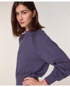 Pull Véra 100%  laine col bicolore violet