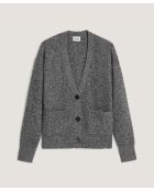 Gilet Eden en laine & Cachemire boutonné col V gris chiné