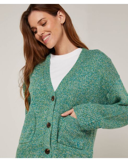 Gilet Brenda col V chiné vert