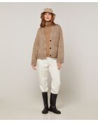 Gilet Alegria col V chiné marron