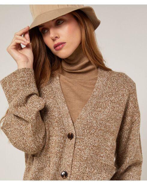 Gilet Alegria col V chiné marron